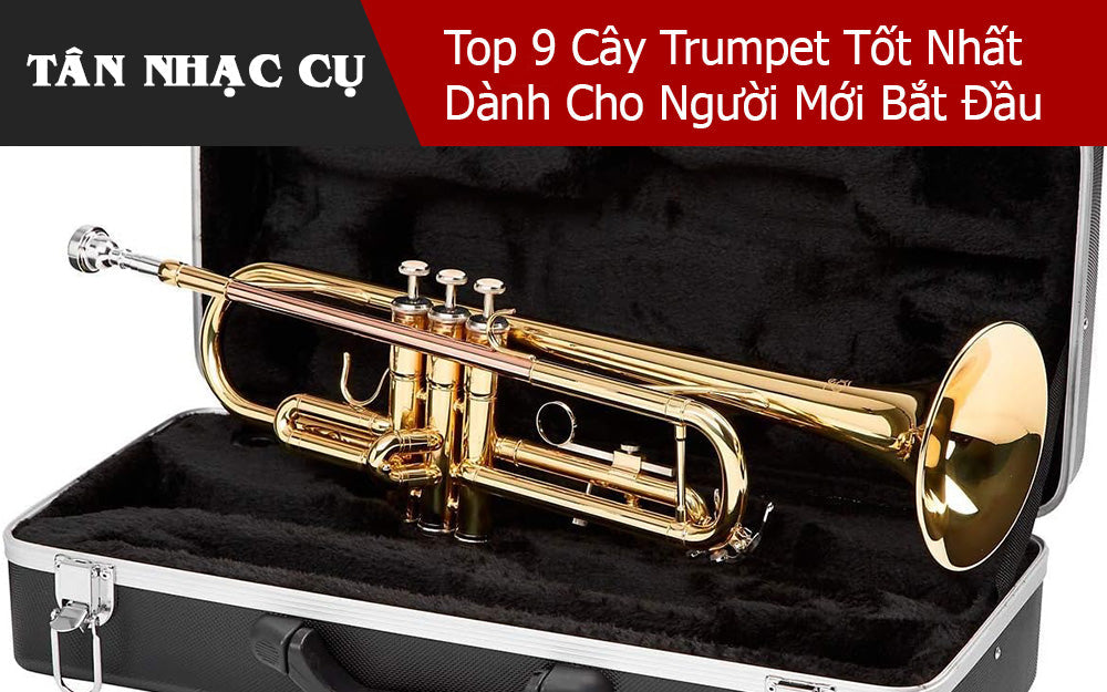 Top 9 Cây Trumpet Tốt Nhất Dành Cho Người Mới Bắt Đầu