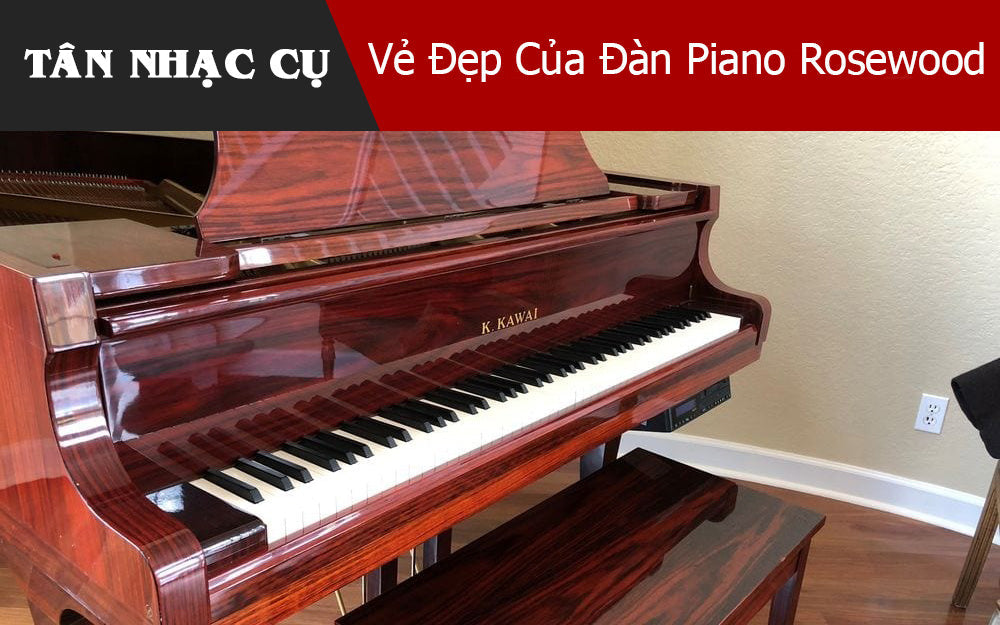 Vẻ Đẹp Của Đàn Piano Rosewood