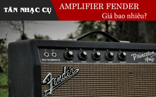 Bộ Khuếch Đại (Amplifier) Fender Giá Bao Nhiêu?