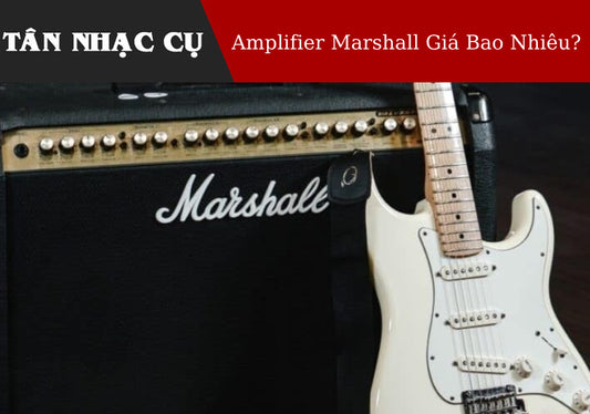 Amplifier Marshall Giá Bao Nhiêu Tiền?