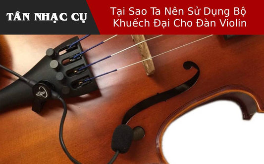 Tại Sao Ta Nên Sử Dụng Bộ Khuếch Đại Cho Đàn Violin