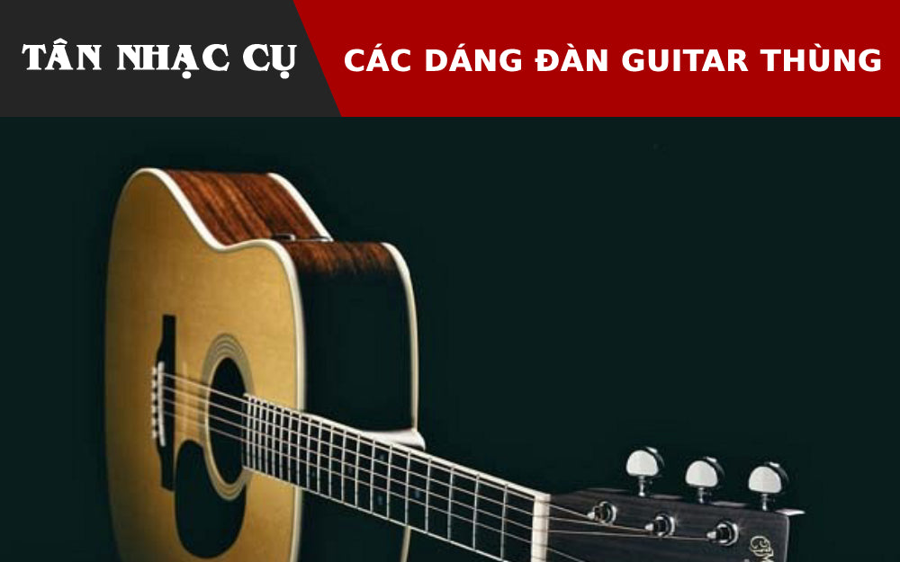 Các Dáng Đàn Guitar Thùng Hay Nhất
