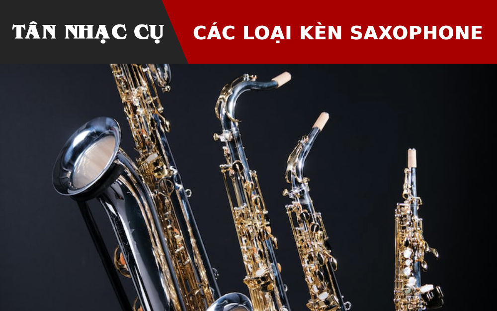 Các Loại Kèn Saxophone