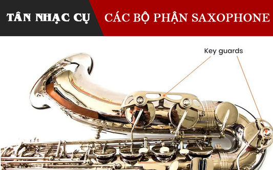 Các Thành Phần Cấu Tạo Kèn Saxophone