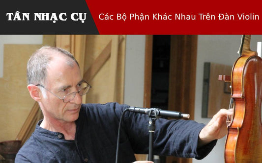 Các Bộ Phận Khác Nhau Trên Đàn Violin 