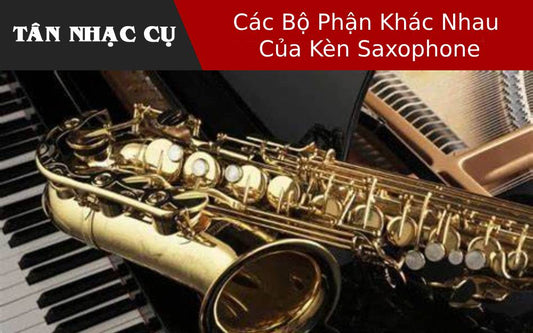 Các Bộ Phận Khác Nhau Của Kèn Saxophone