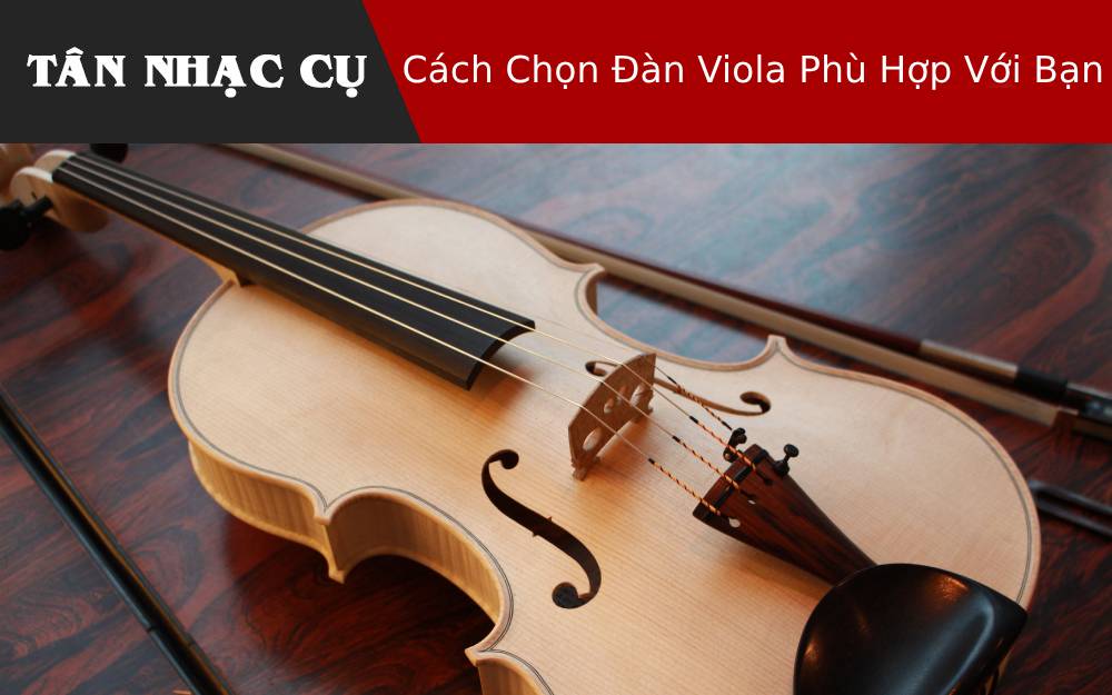 Cách Chọn Đàn Viola Phù Hợp Với Bạn