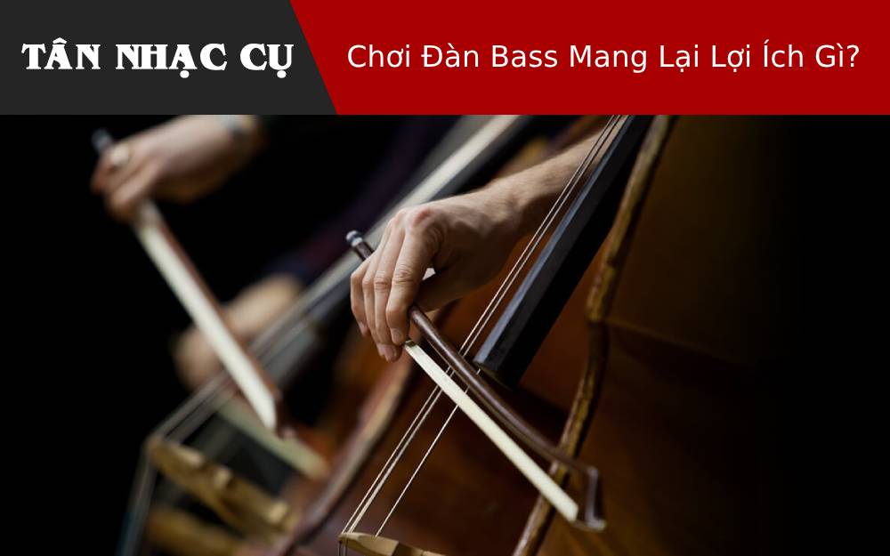 Chơi Đàn Bass Mang Lại Lợi Ích Gì?