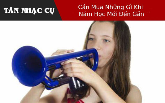 Hướng Dẫn Dành Cho Người Mới Bắt Đầu Mua Đàn Cello