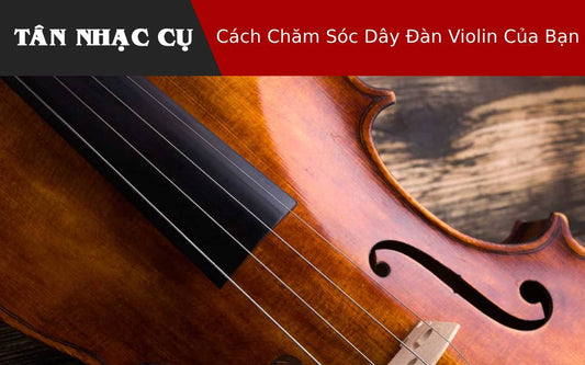 Cách Chăm Sóc Dây Đàn Violin Của Bạn