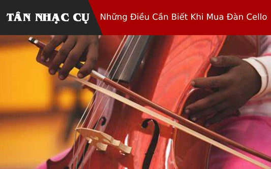 Những Điều Cần Biết Khi Mua Đàn Cello