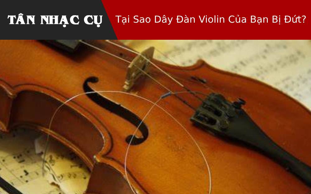 Tại Sao Dây Đàn Violin Của Bạn Bị Đứt?