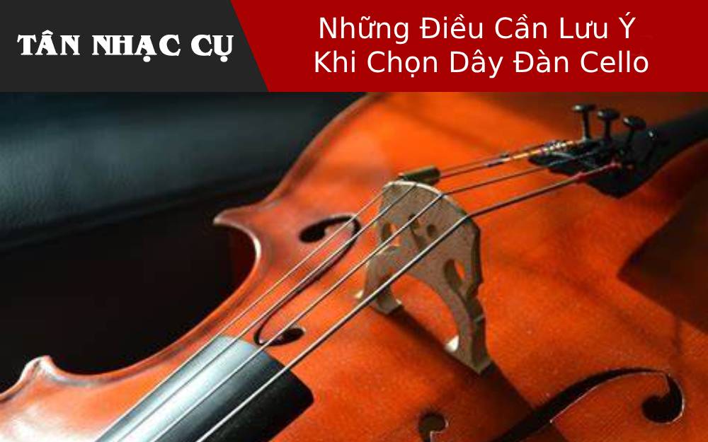 Những Điều Cần Lưu Ý Khi Chọn Dây Đàn Cello