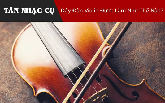 Dây Đàn Violin Được Làm Như Thế Nào?