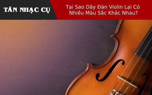 Tại Sao Dây Đàn Violin Lại Có Nhiều Màu Sắc Khác Nhau?