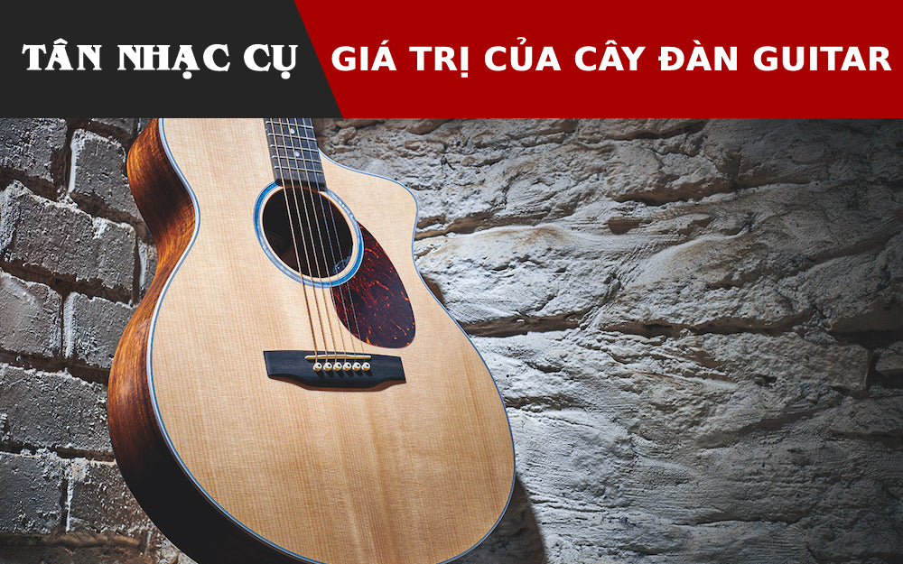 Giá Trị Của Một Cây Đàn Guitar Là Gì?