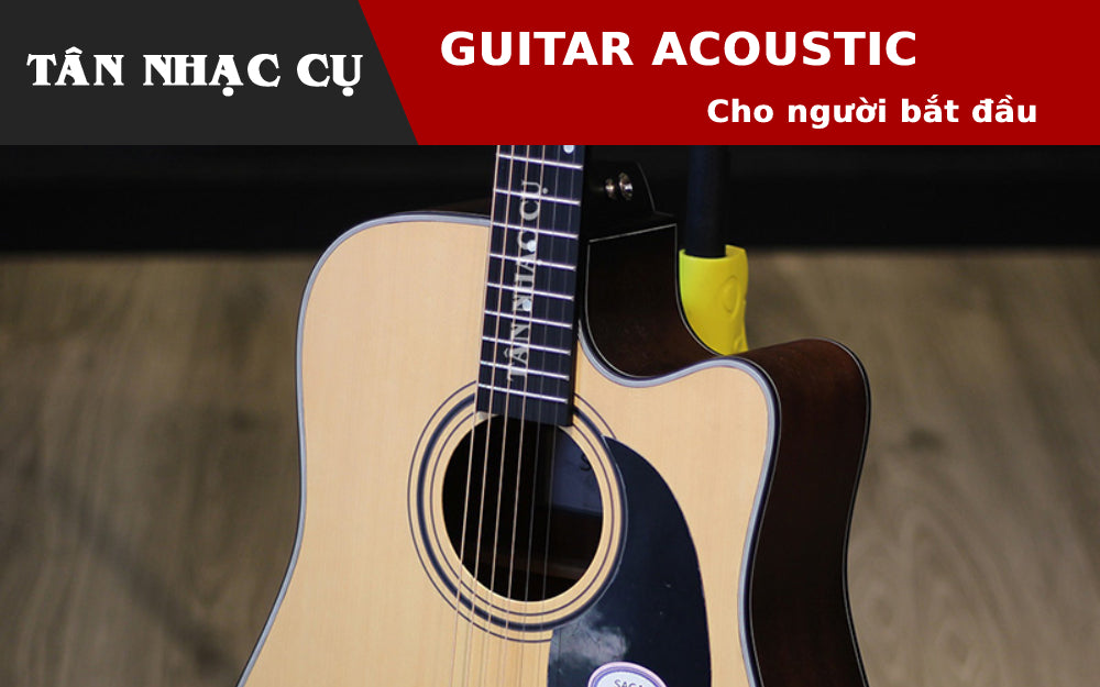 Cách Chọn Đàn Guitar Acoustic Cho Người Bắt Đầu