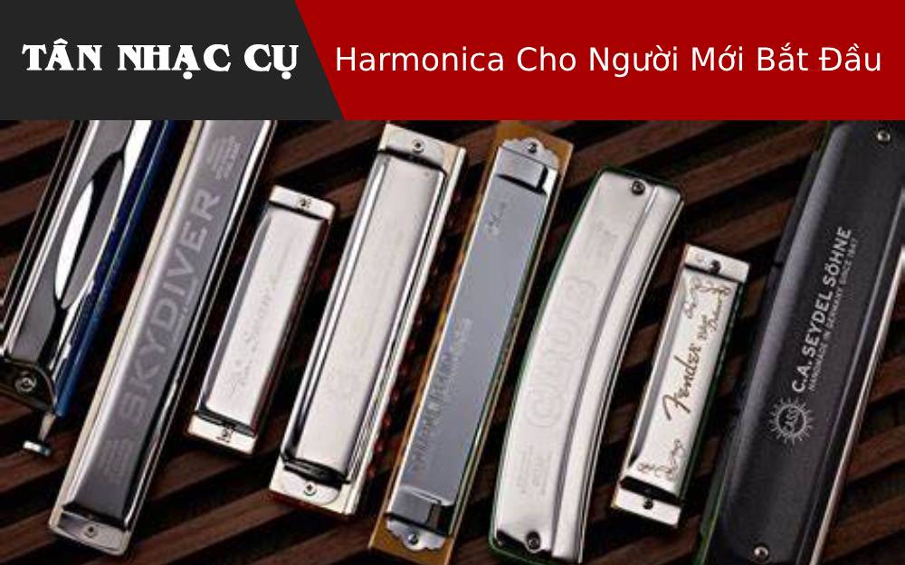 Harmonica Cho Người Mới Bắt Đầu