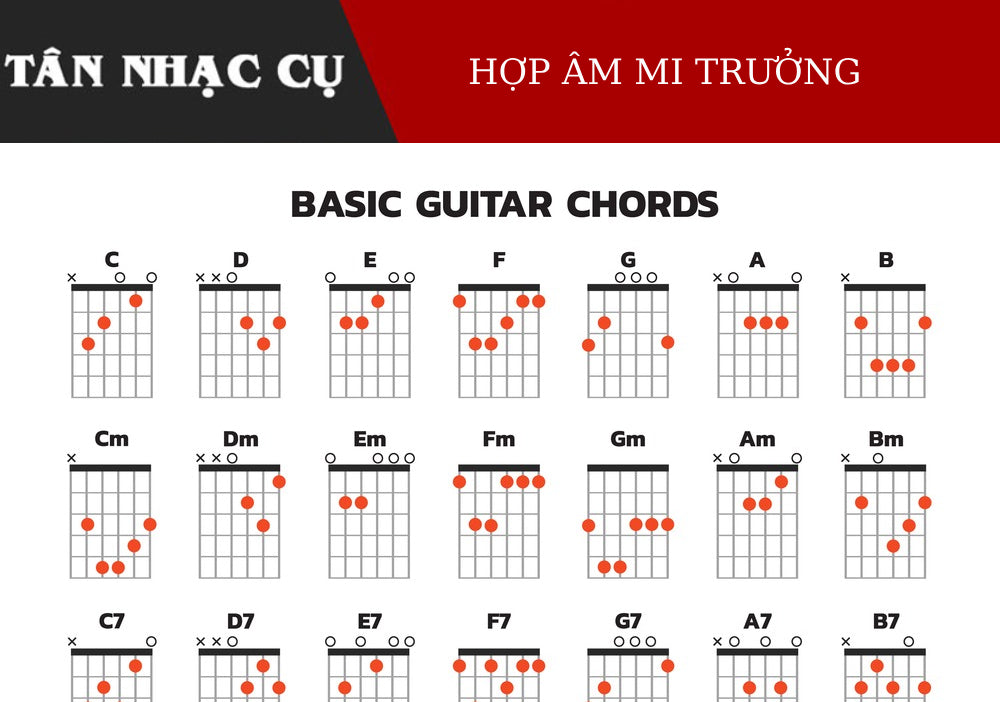 Cách Bâm Hợp Âm Mi Trưởng – E Trên Đàn Guitar