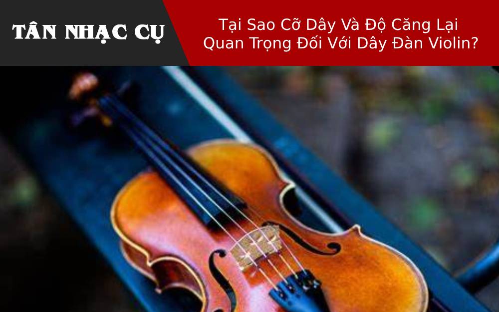 Tại Sao Cỡ Dây Và Độ Căng Lại Quan Trọng Đối Với Dây Đàn Violin?