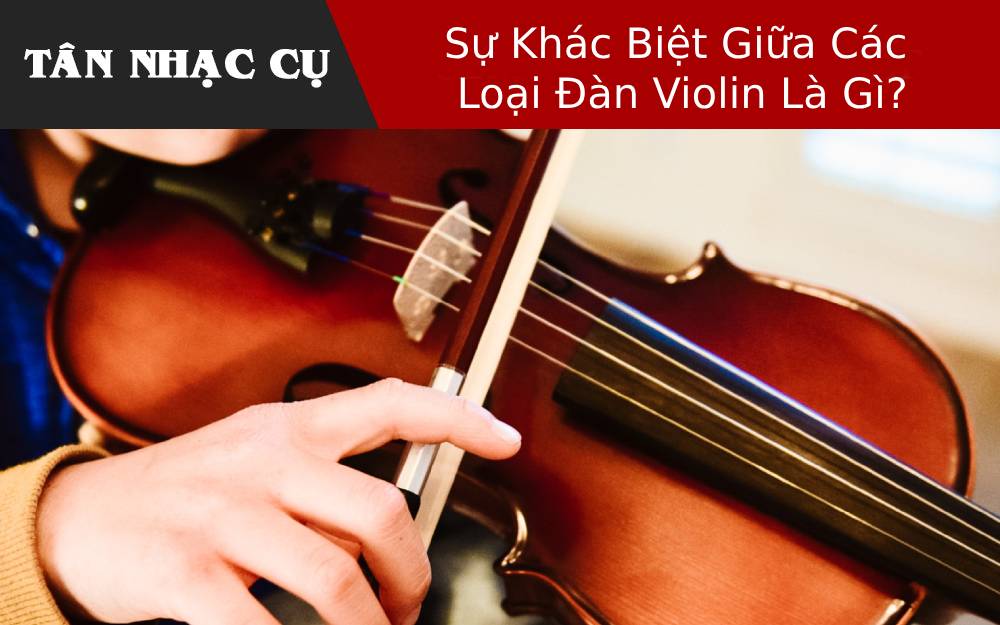 Sự Khác Biệt Giữa Các Loại Đàn Violin Là Gì?