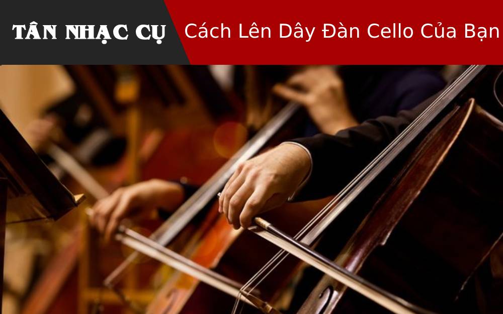 Cách Lên Dây Đàn Cello Của Bạn