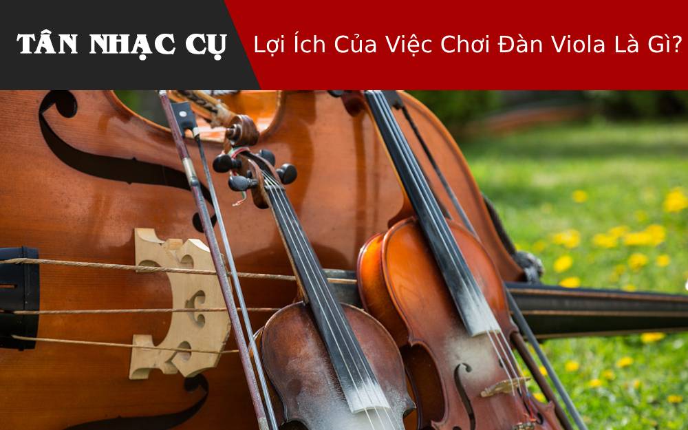 Lợi Ích Của Việc Chơi Đàn Viola Là Gì?