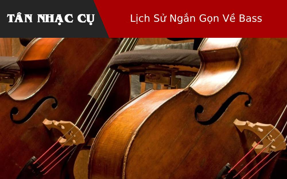 Lịch Sử Ngắn Gọn Về Bass