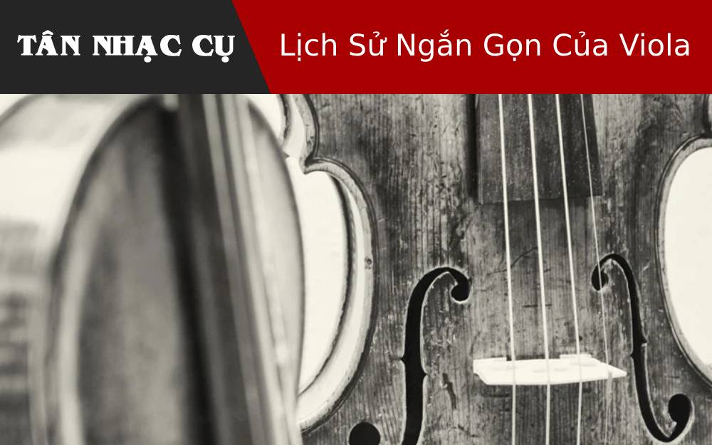 Lịch Sử Ngắn Gọn Của Viola