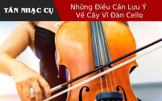 Những Điều Cần Lưu Ý Về Cây Vĩ Đàn Cello