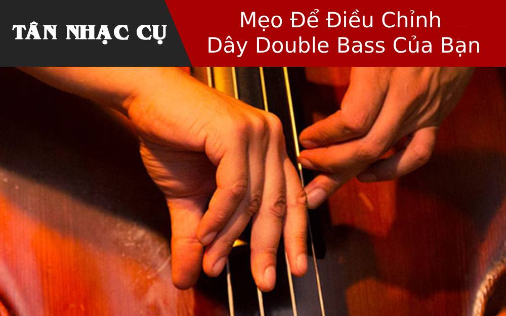 Mẹo Để Điều Chỉnh Dây Double Bass Của Bạn