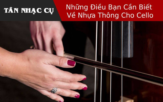 Những Điều Bạn Cần Biết Về Nhựa Thông Cho Cello