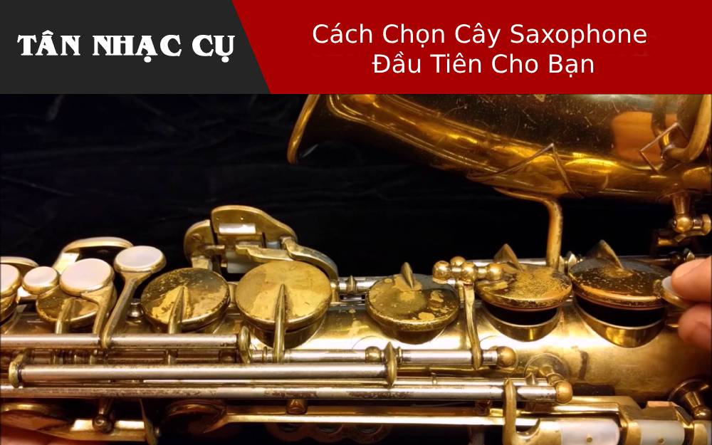 Cách Chọn Cây Saxophone Đầu Tiên Cho Bạn