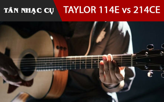 So Sánh Đàn Guitar Taylor 114 Và Taylor 214