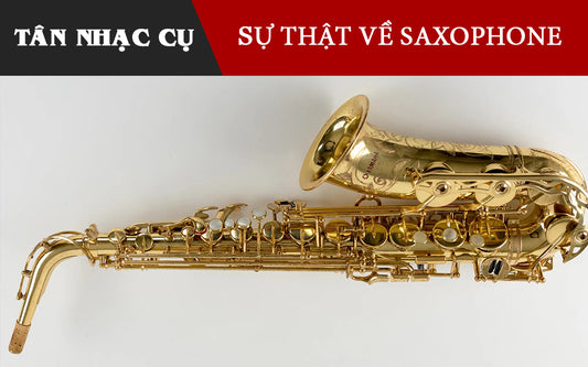 Top 5 Sự Thật Thú Vị Về Kèn Saxophone