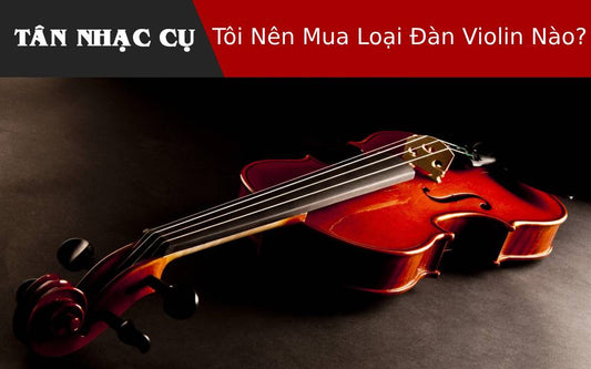 Tôi Nên Mua Loại Đàn Violin Nào?