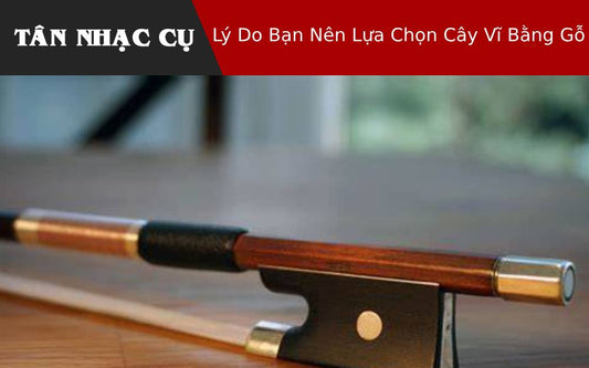 Lý Do Bạn Nên Lựa Chọn Cây Vĩ Bằng Gỗ