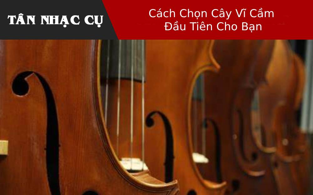 Cách Chọn Cây Vĩ Cầm Đầu Tiên Cho Bạn