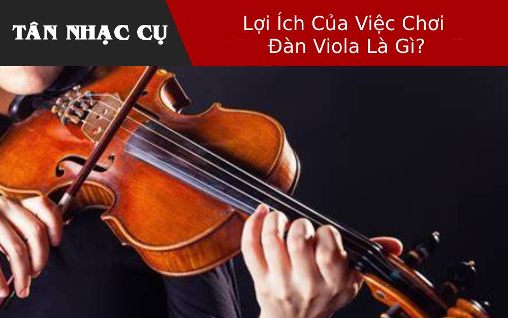 Lợi Ích Của Việc Chơi Đàn Viola Là Gì?