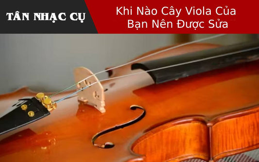 Khi Nào Cây Viola Của Bạn Nên Được Sửa