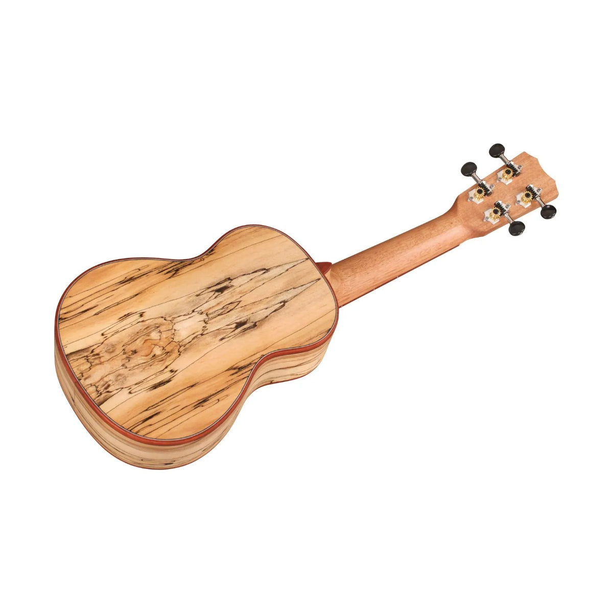 Đàn Ukulele Soprano Cordoba 24S Spruce