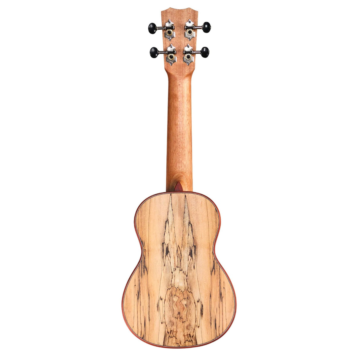 Đàn Ukulele Soprano Cordoba 24S Spruce