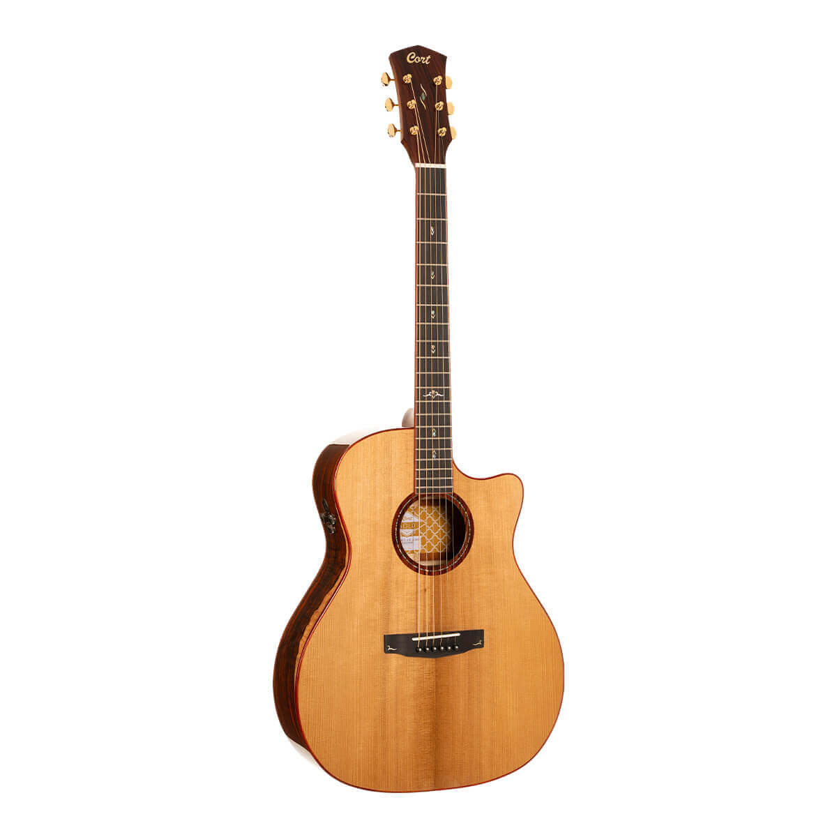 Đàn Guitar Acoustic Gold-A10 Cocobolo