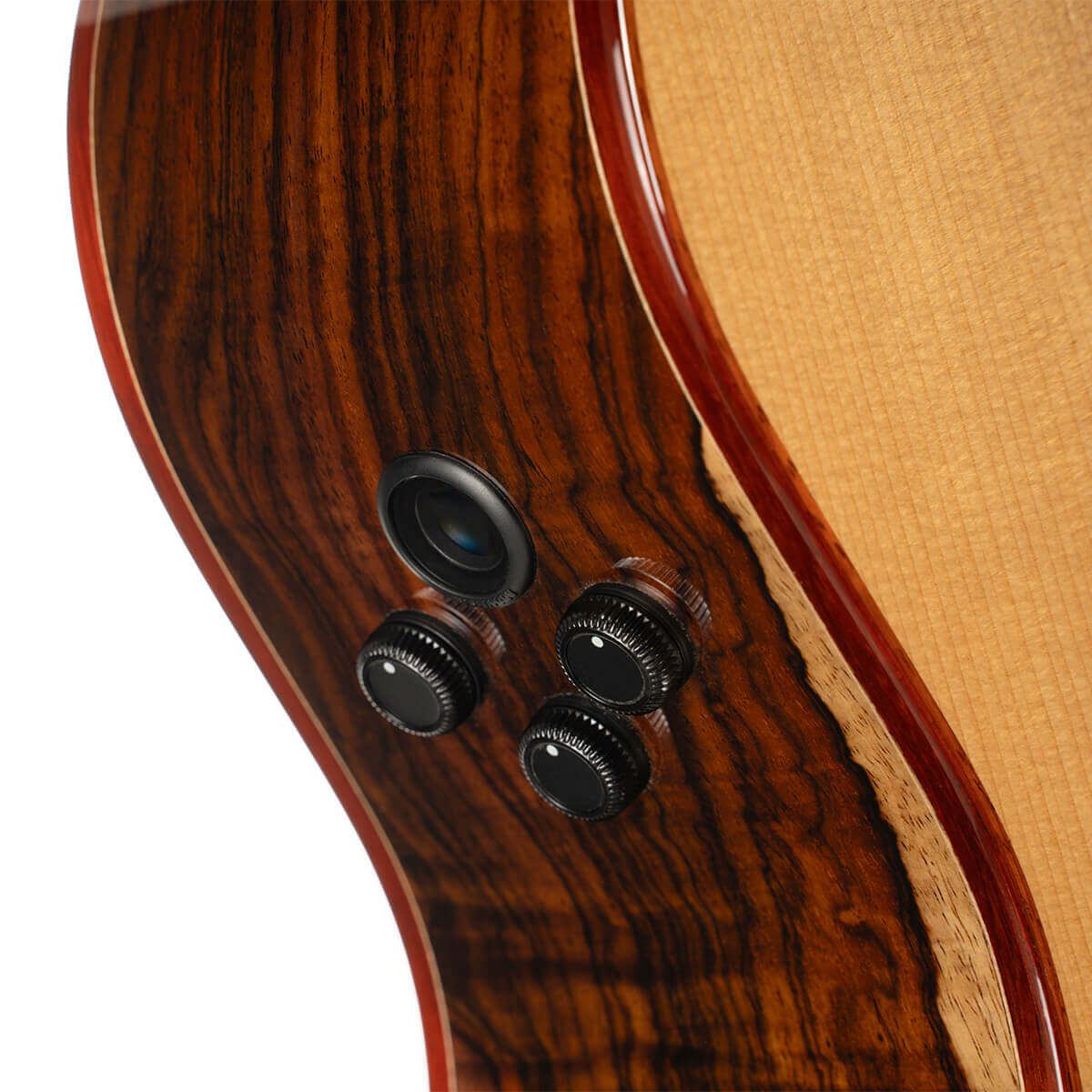 Đàn Guitar Acoustic Gold-A10 Cocobolo