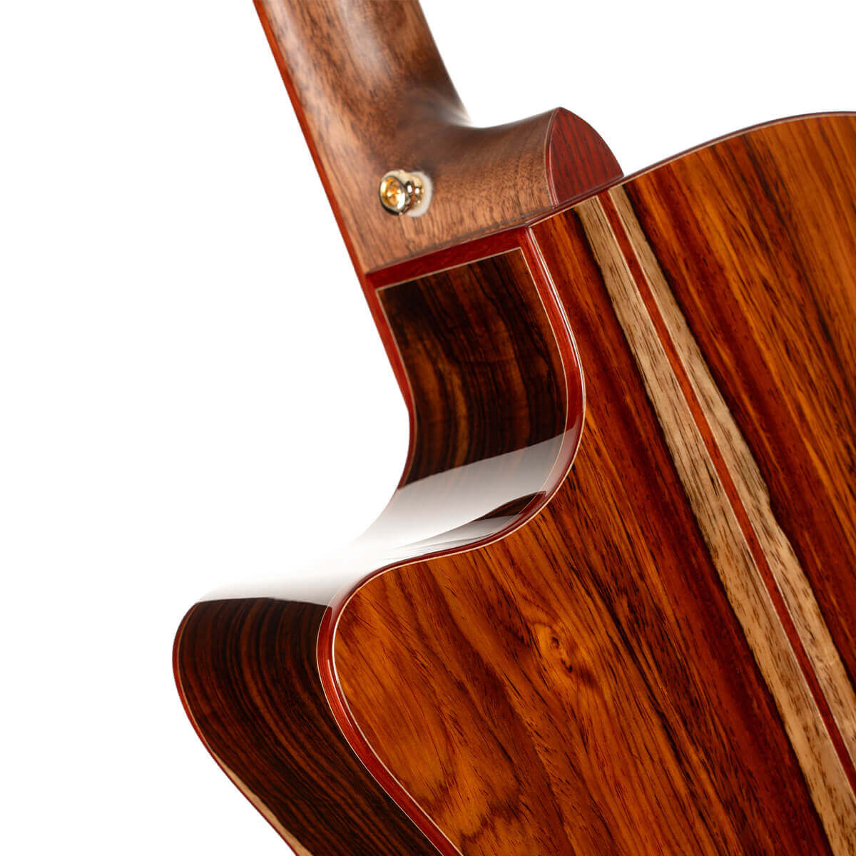 Đàn Guitar Acoustic Gold-A10 Cocobolo
