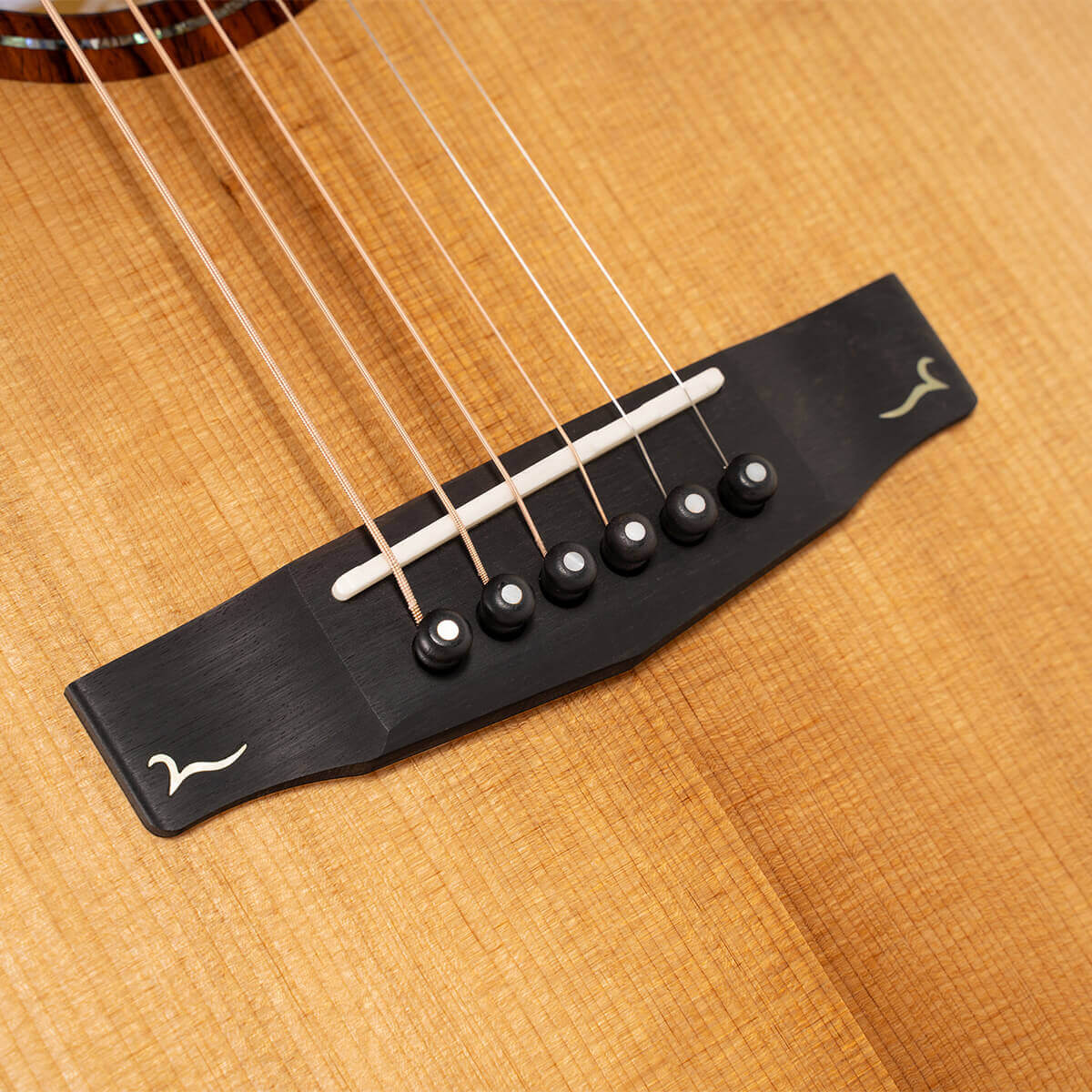 Đàn Guitar Acoustic Gold-A10 Cocobolo