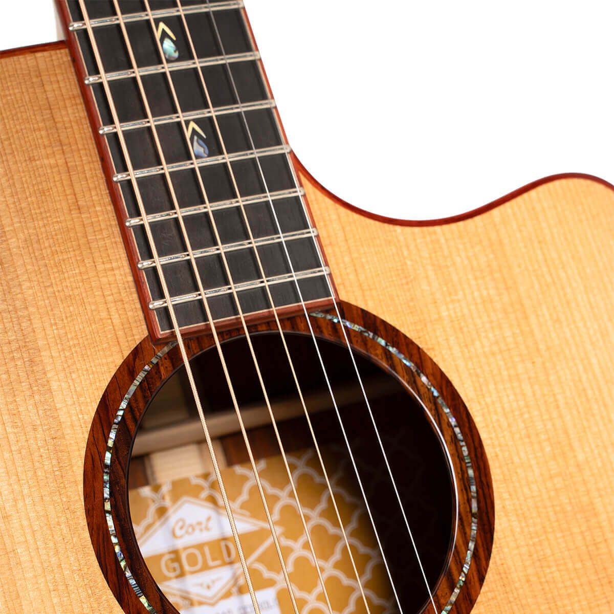 Đàn Guitar Acoustic Gold-A10 Cocobolo