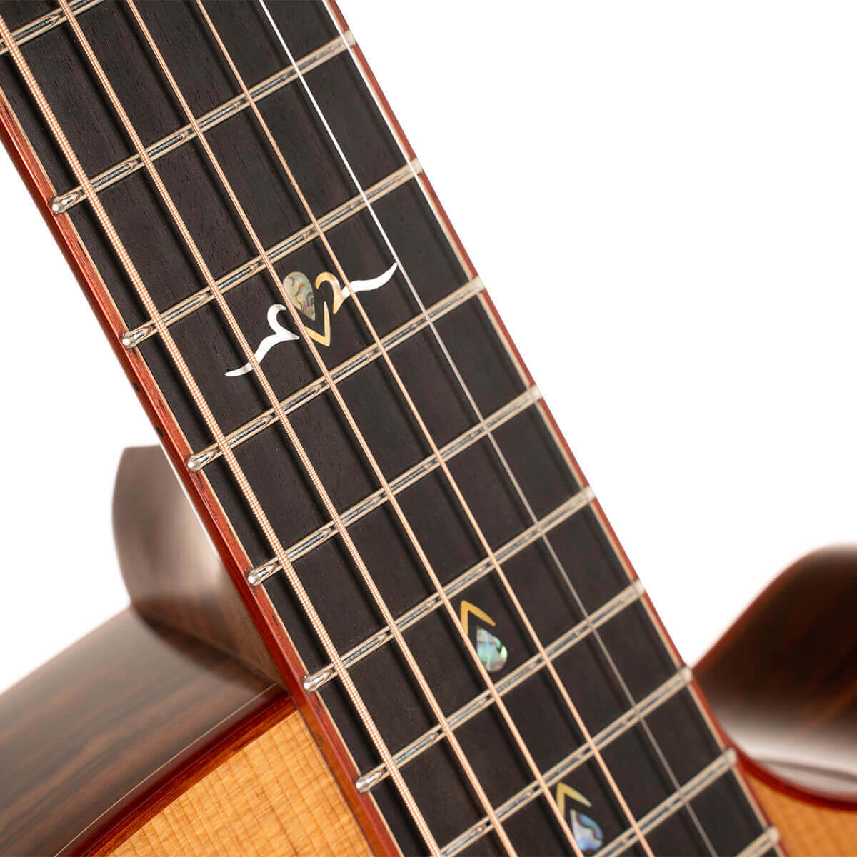 Đàn Guitar Acoustic Gold-A10 Cocobolo