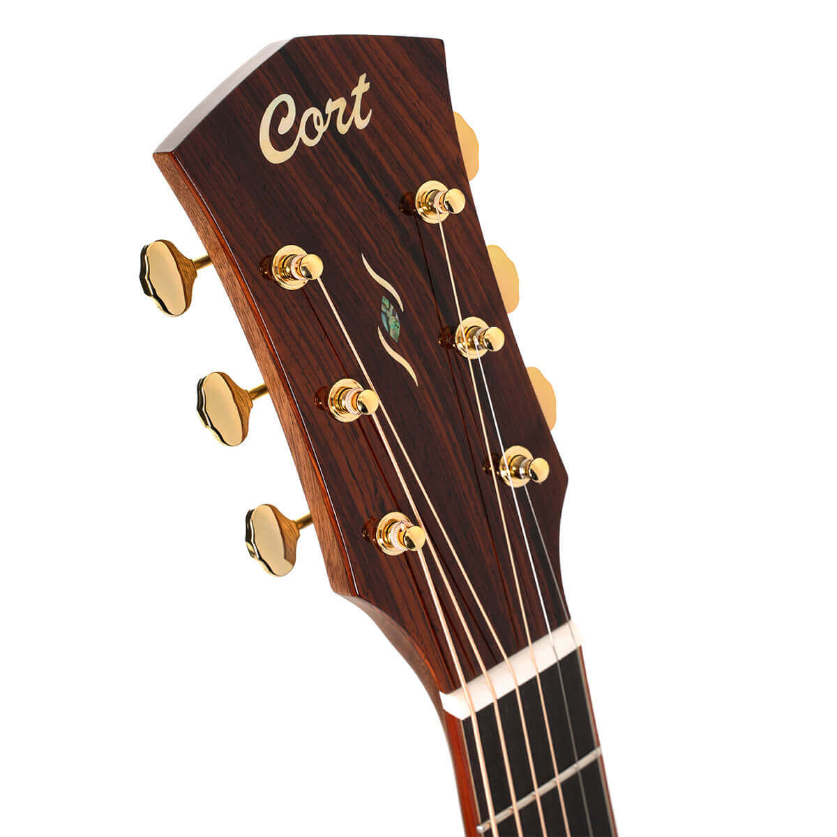 Đàn Guitar Acoustic Gold-A10 Cocobolo