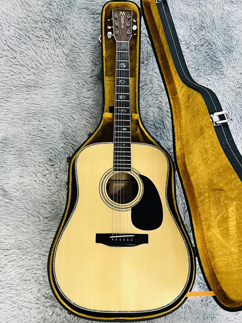 Đàn Guitar Acoustic Morris W40 1981
